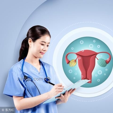 排卵期误解揭秘：行业深度洞察与未来展望